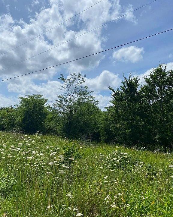 2nd image of LOT 5 Bluff Springs Dr
