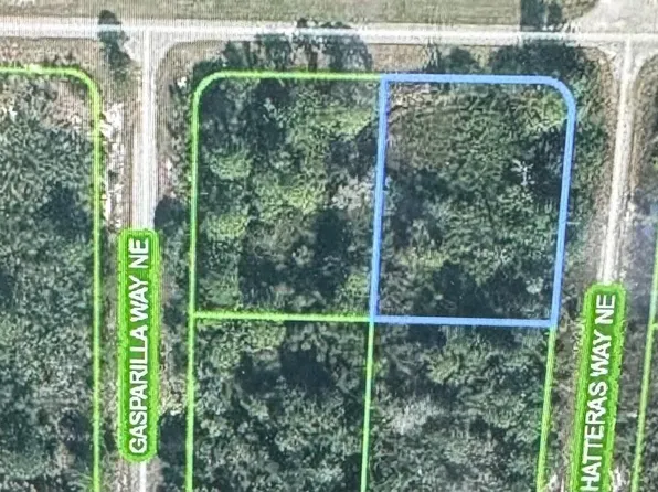 941 Island Parkway NE, Lake Placid, FL 33852