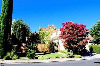1st image of 1326 Quail Creek Cir