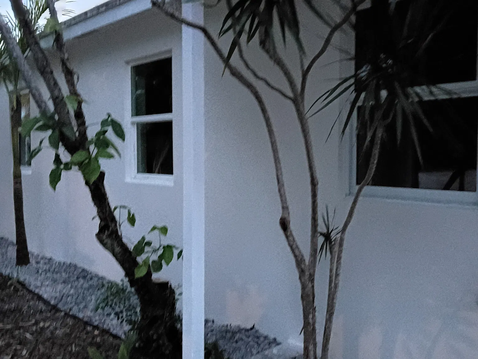 3 bed, 1027 sqft, $3,000 — Photo 2