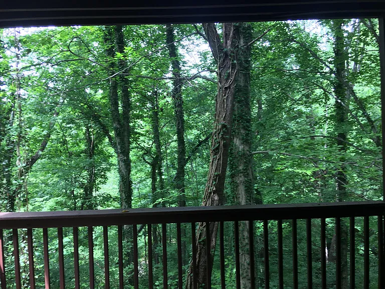 lower level summer deck view