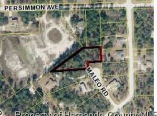 13061 Maleo Rd, Brooksville, FL 34614