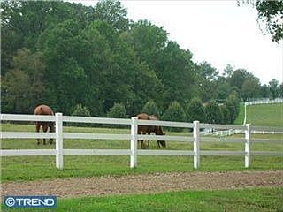 2nd image of 3985 Limestone Rd
