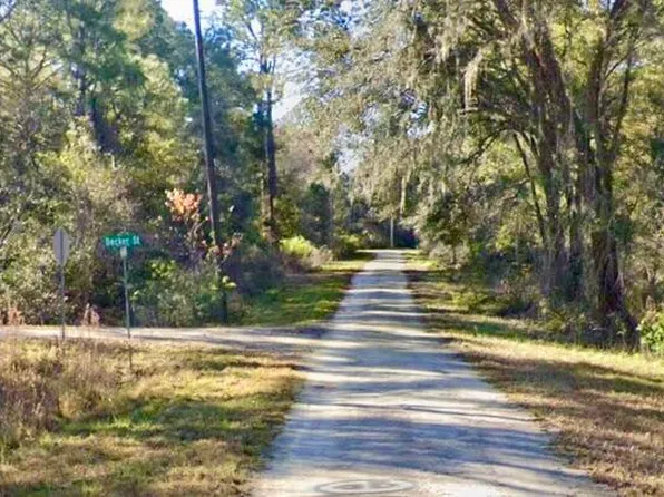 LOT Six Decker St, Webster, FL 33597