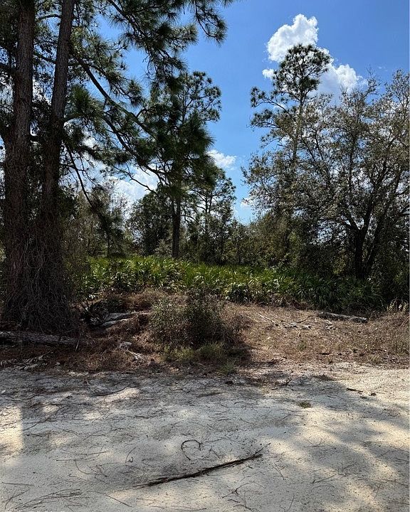 1st image of 7969 3rd Ter