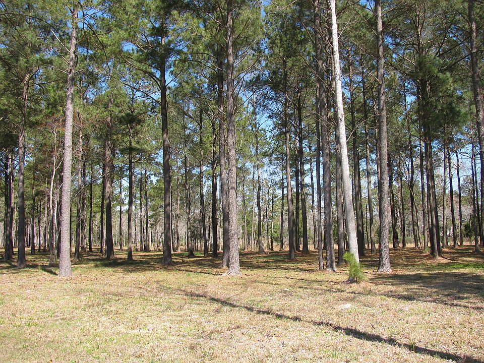 1st image of 203 Southern Plantation Drive South #Lot 290