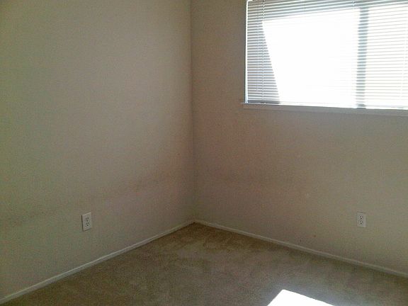 5th image of 2524 Berrywood Dr