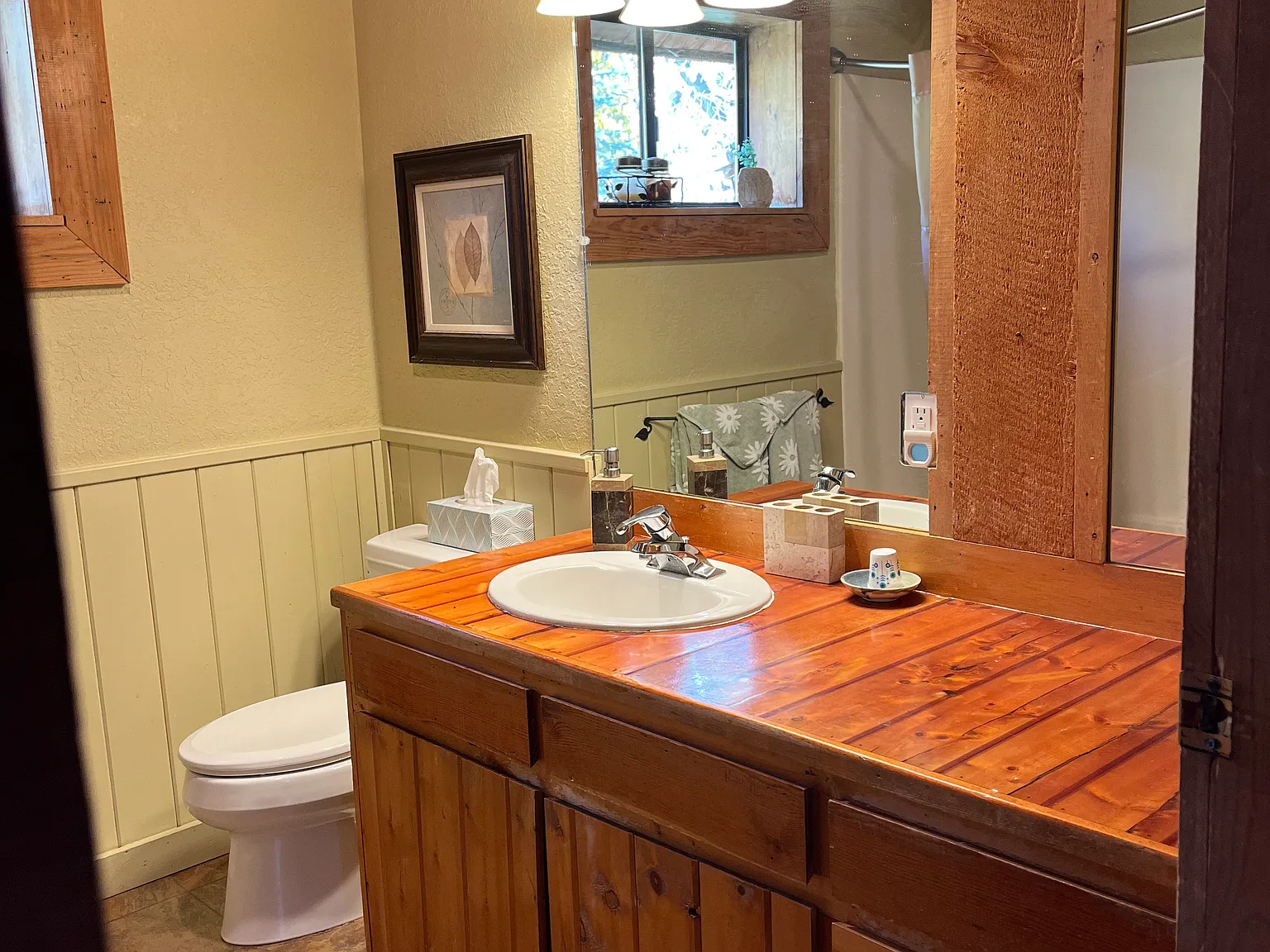 Cloud Cap Ave, Pagosa Springs — Photo 4