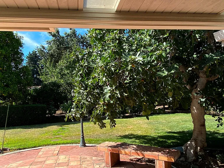 507 Walnut Ct — Photo 15
