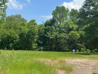 67 Cypress Cir, Mount Vernon, TX, 75457