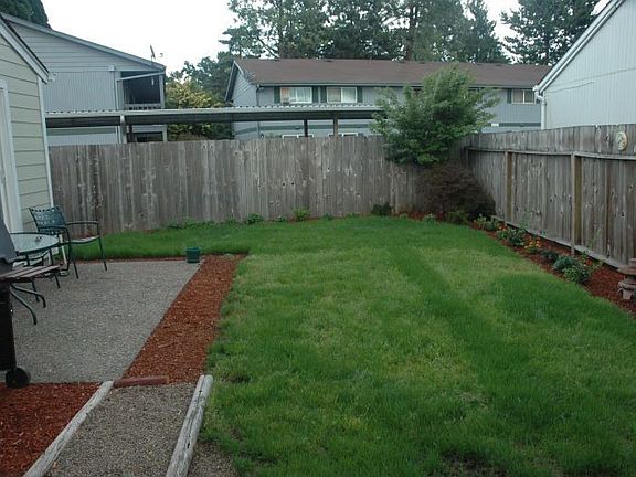 backyard with Japanese Maple in corner