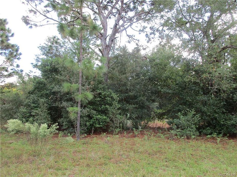 2nd image of 8653 N Sanfilippo Loop