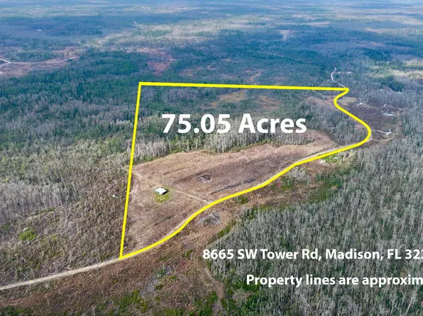 8665 SW Tower Rd, Madison, FL 32340