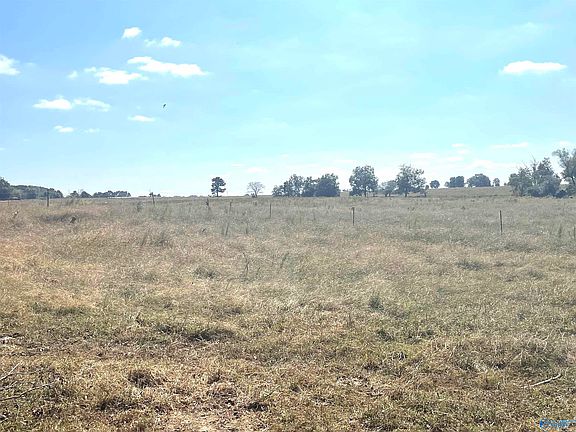 4th image of 2025 County Road 482