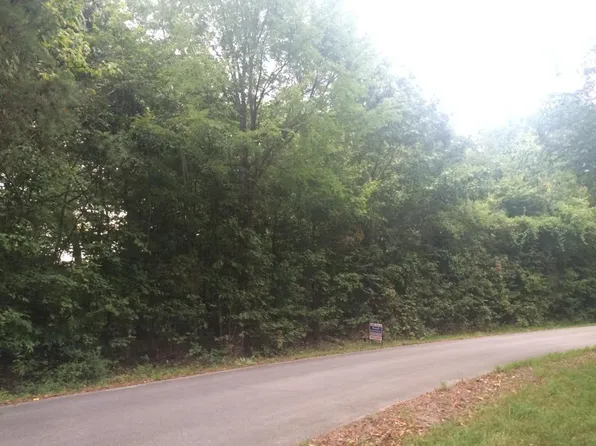 Mountain View Ln, White Pine, TN 37890