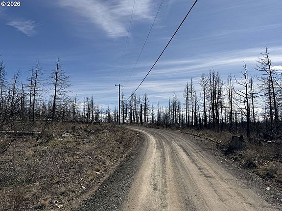 3rd image of Hummingbird Dr #1