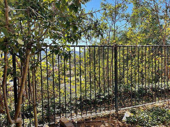 Nice view in the back yard
