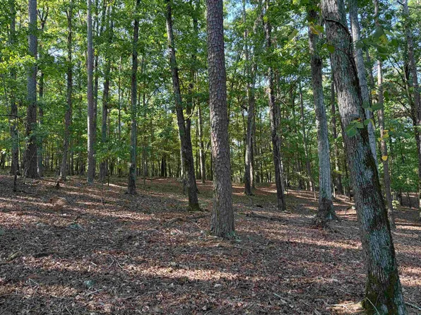 12 Southridge Dr, Mount Ida, AR 71957