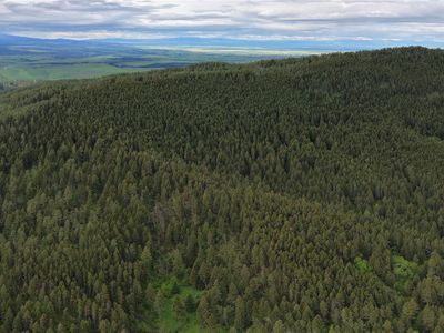 Nhn Gilt Edge Stage Rd, Lewistown, MT, 59457