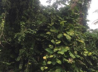N Opihi St, Pahoa, HI 96778