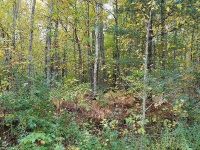 11 S Weaver Rd, Fairview, MI, 48621