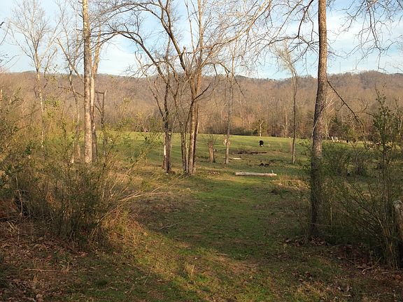 Room for cows or horses