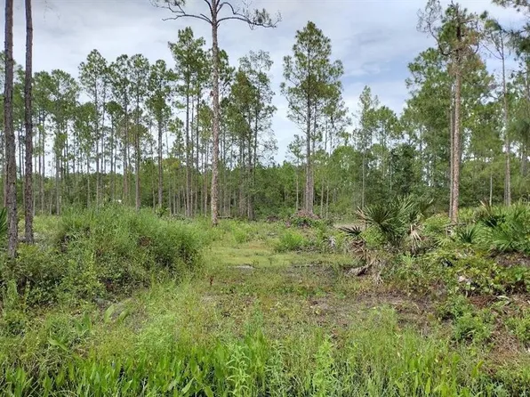 5814 Mahogany Blvd #12, Bunnell, FL 32110