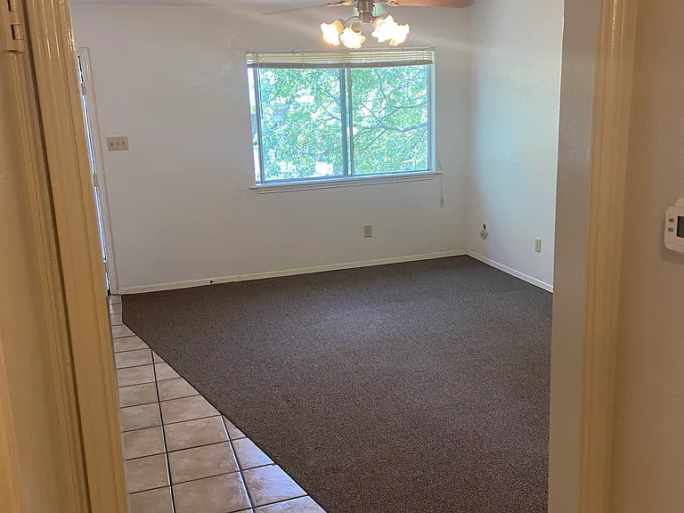114 Lady Bird Ln #4 — Photo 5