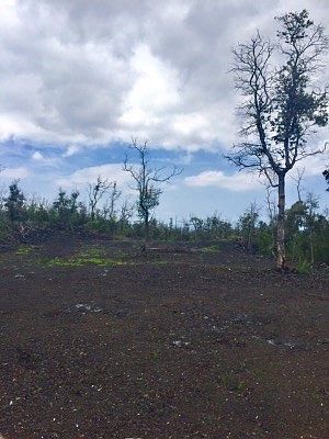 3rd image of Coral Pkwy Lot 9