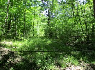 381 Joe Green Rd, Lowman, NY 14861