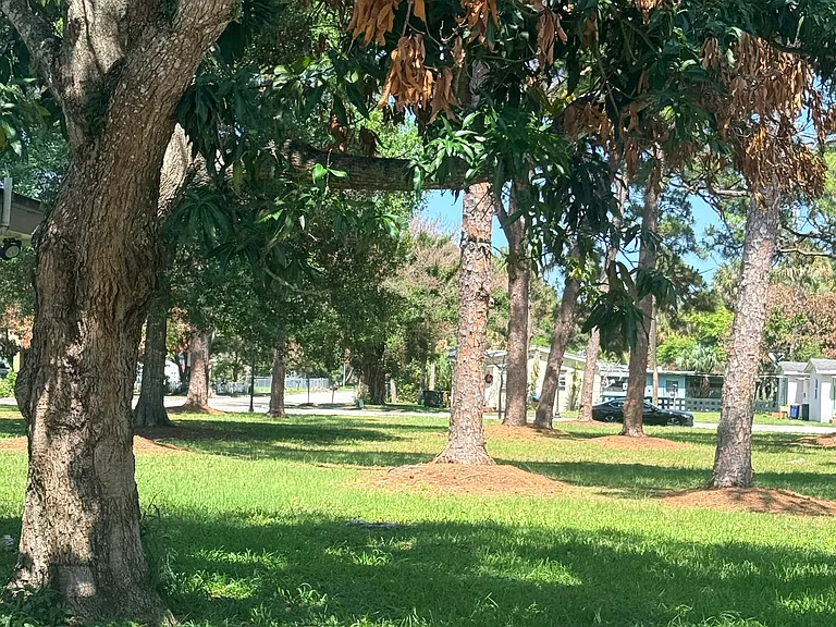 1022 Citrus Ave #B — Photo 4
