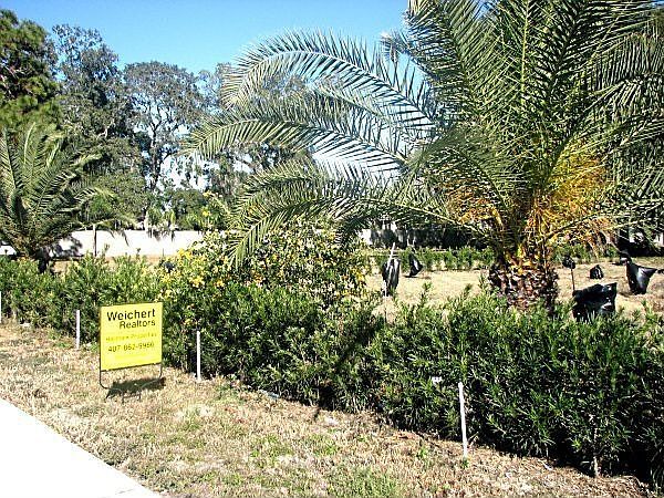 2nd image of 91 Seminola Blvd