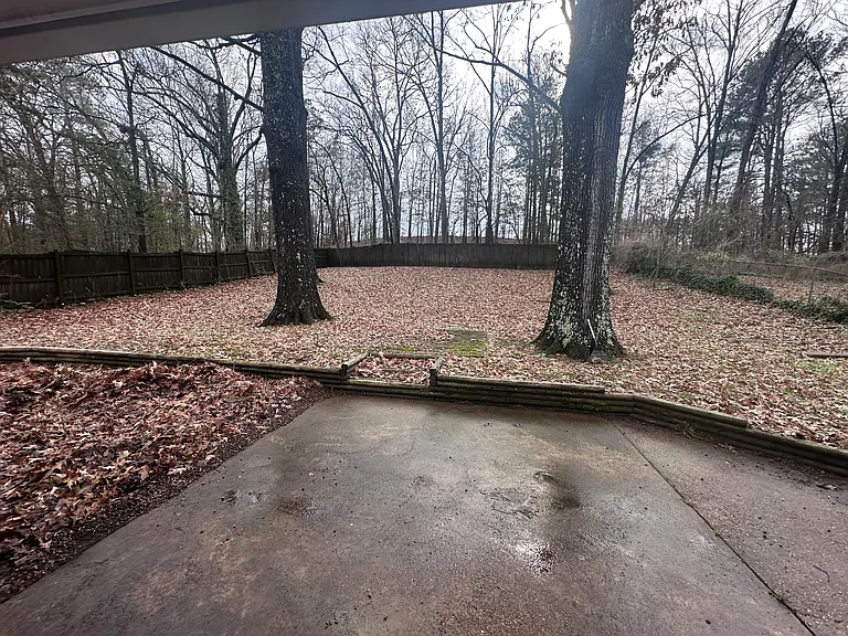 Back Yard view from french doors
