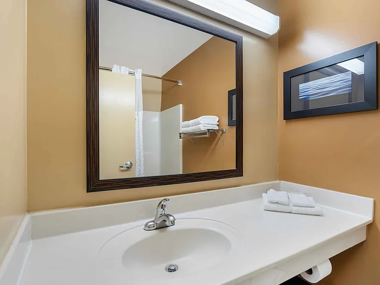 Studio Suite - 1 Queen Bed