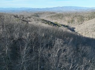 248 Blood Root Trl, Ellijay, GA 30536