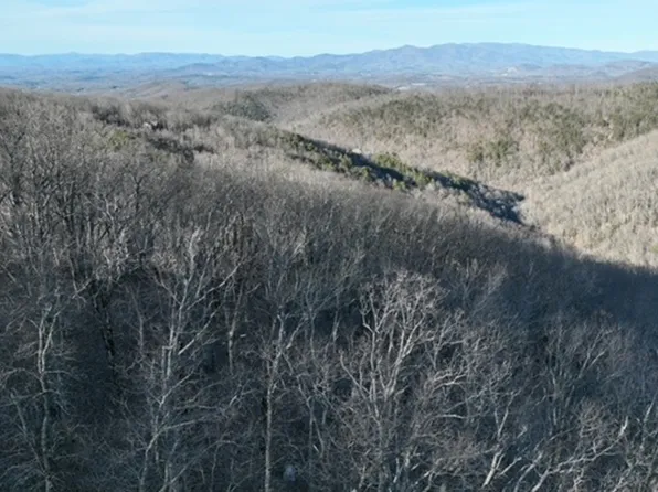 248 Blood Root Trl, Ellijay, GA 30536