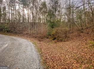 61 Bmw Dr, Ellijay, GA 30540