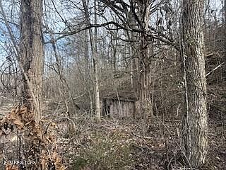 4th image of Bates Gibson Rd