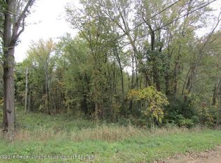 16080 Peacock Rd, Haslett, MI 48840