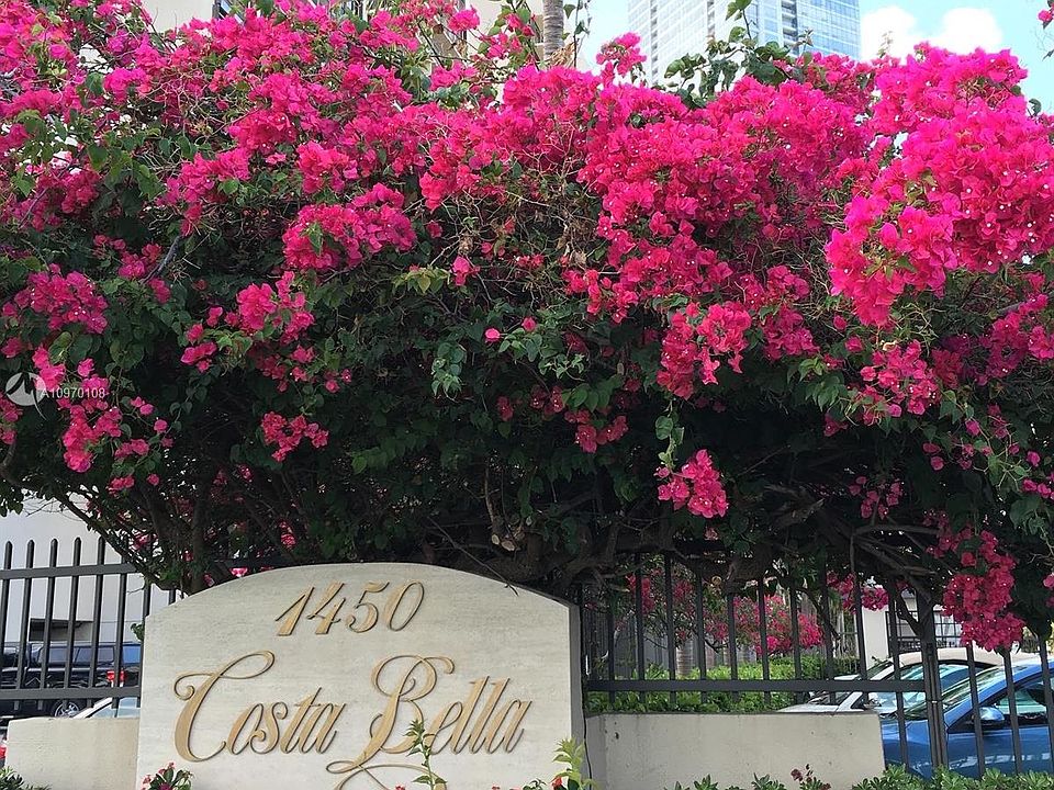 1st image of 1450 Brickell Bay Dr APT 314