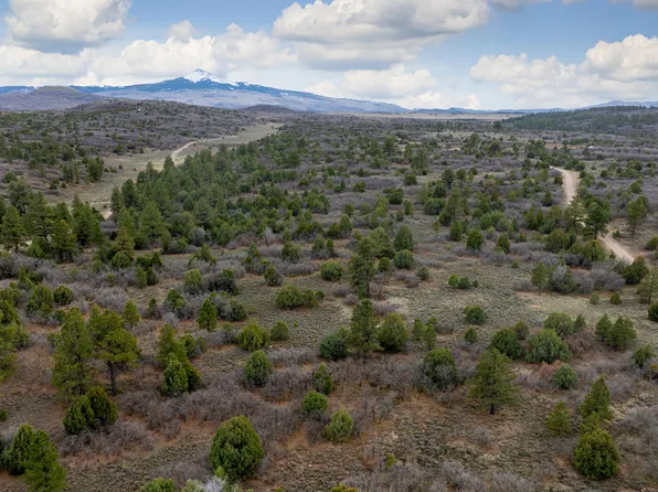458 Beaver Pines Loop Lot 9, Norwood, CO 81423