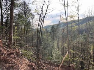 Early Branch Rd, Rogersville, TN 37857