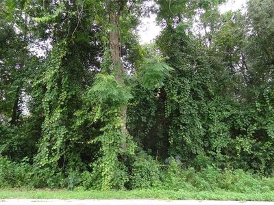 Pine Dr Lot 7, Deland, FL, 32720