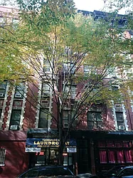 Rented by NestApple, Inc.