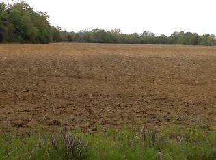 458 Mitchell Rd, Hartford, AL 36344