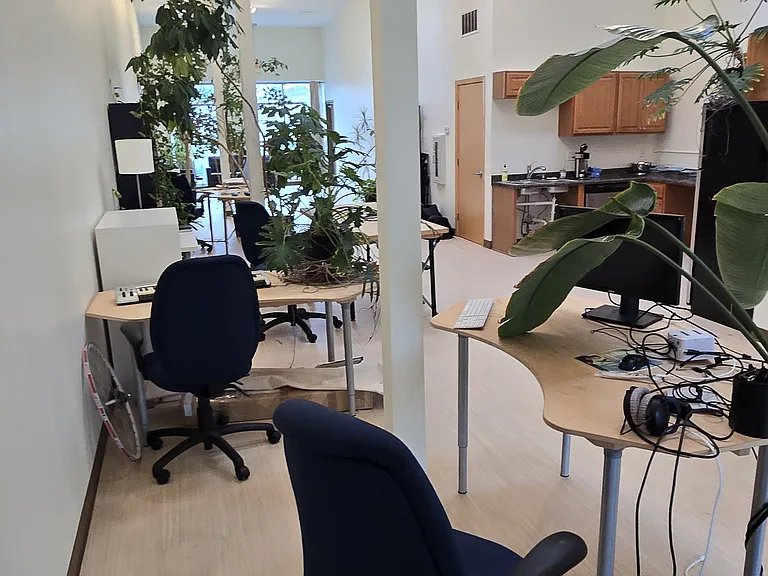 425 Cedar Ave #2 — Photo 17