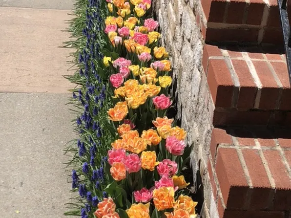 116 Pinehurst Avenue image 19 of 25