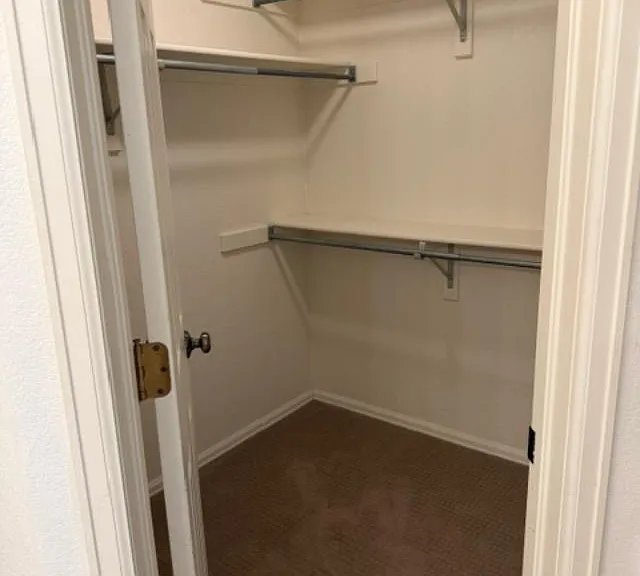 master walk-in closet