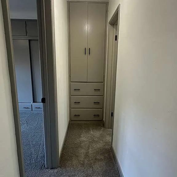 Linen closet