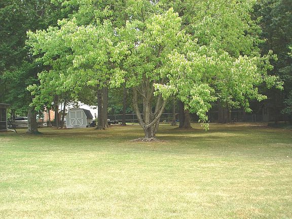 Exterior Back Yard #2